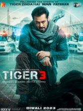 Tiger 3 (Hindi)