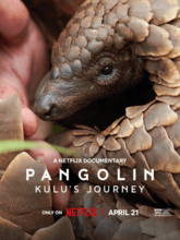 Pangolin Kulus Journey (Hin + Eng) 